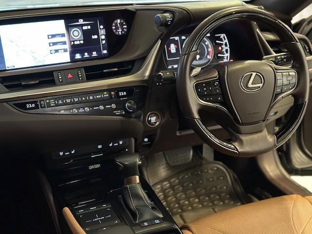 行貨ES250 PREMIUM頂級版 - Image 13