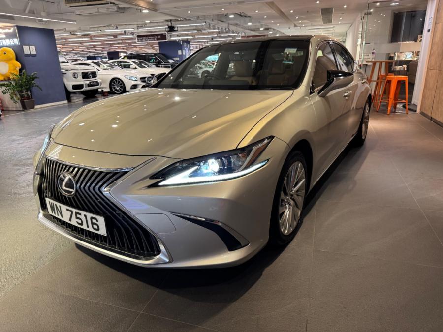 ES250 PREMIUM - Image 2