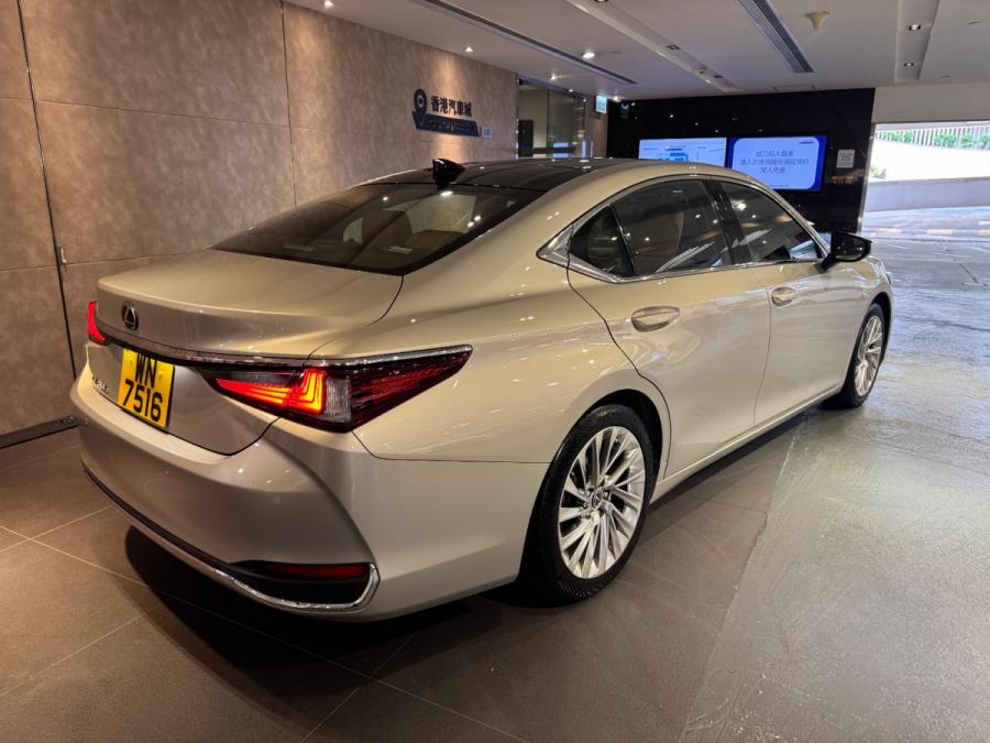 ES250 PREMIUM - Image 3