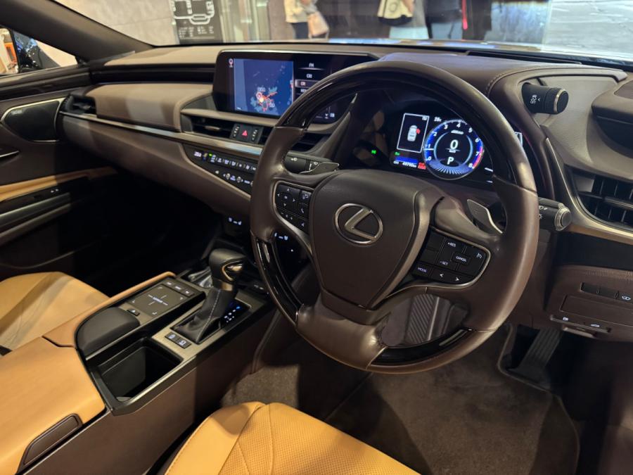 ES250 PREMIUM - Image 4