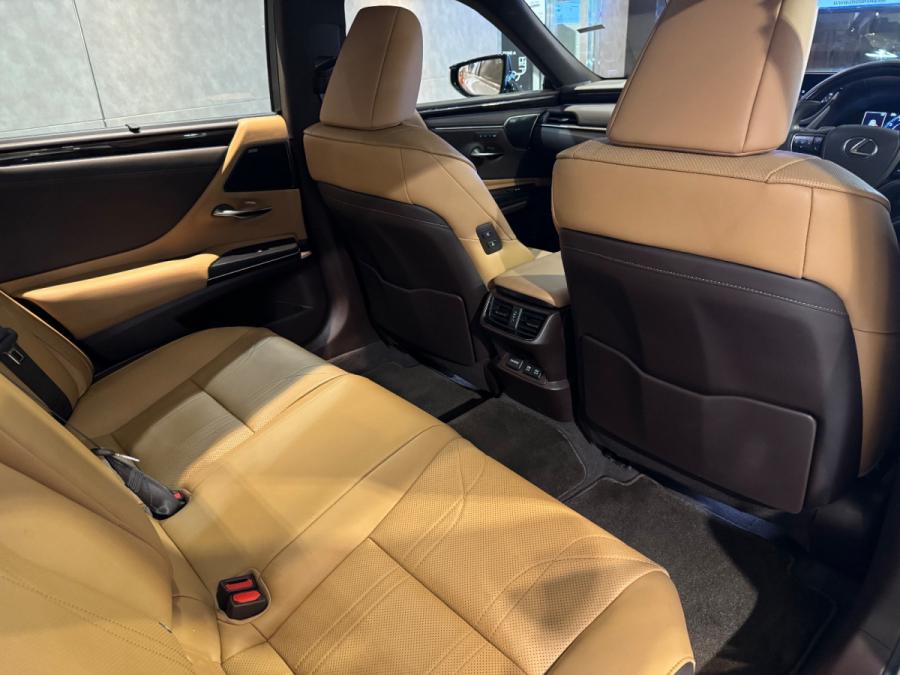 ES250 PREMIUM - Image 5