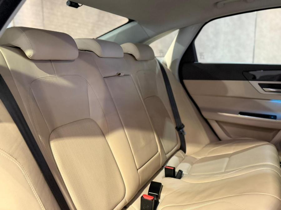 XF 35T PRESTIGE - Image 3