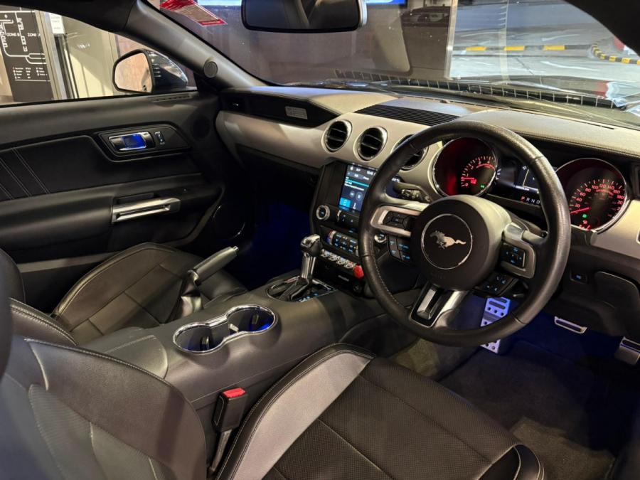 Mustang 5.0 - Image 4