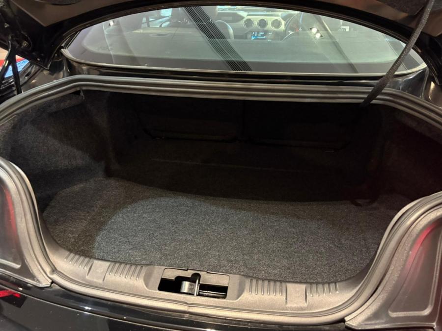 Mustang 5.0 - Image 7