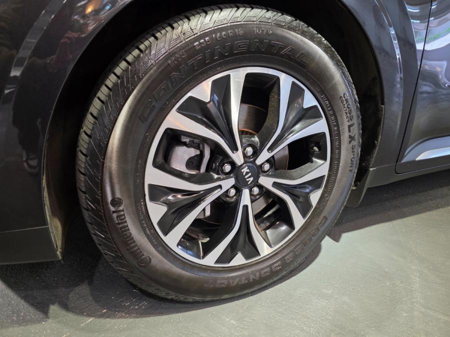 CARNIVAL PREMIUM - Image 10