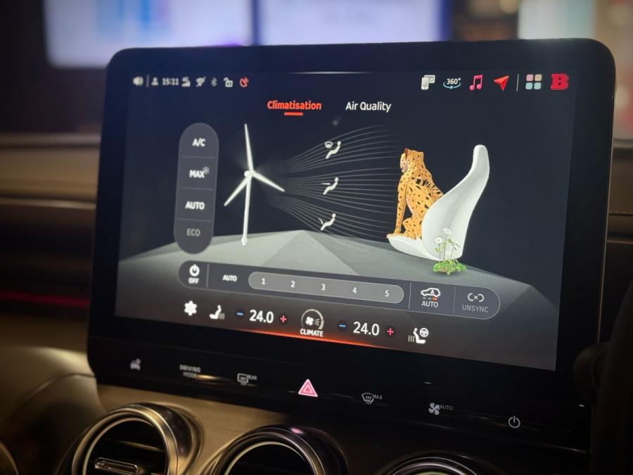 #3 BRABUS - Image 12