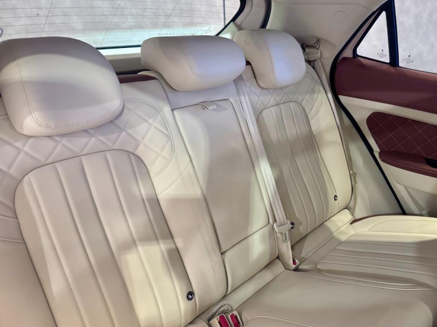 Funky Cat 300 - Image 11