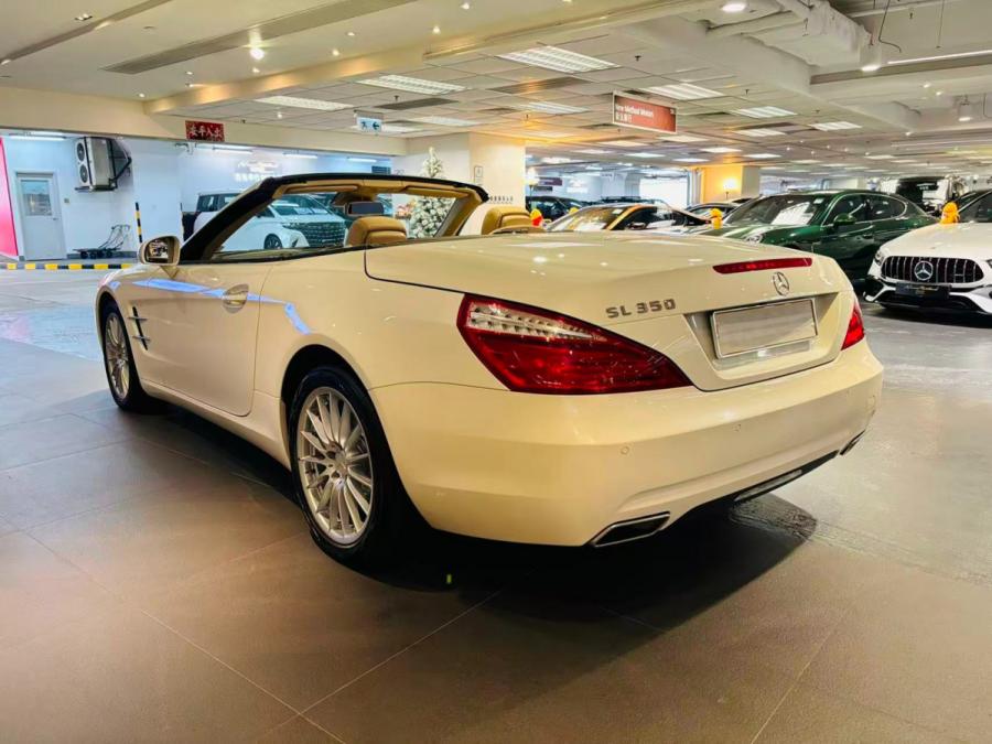 SL350 - Image 2