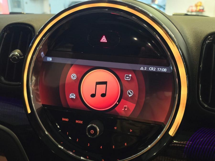 COUNTRYMAN - Image 12