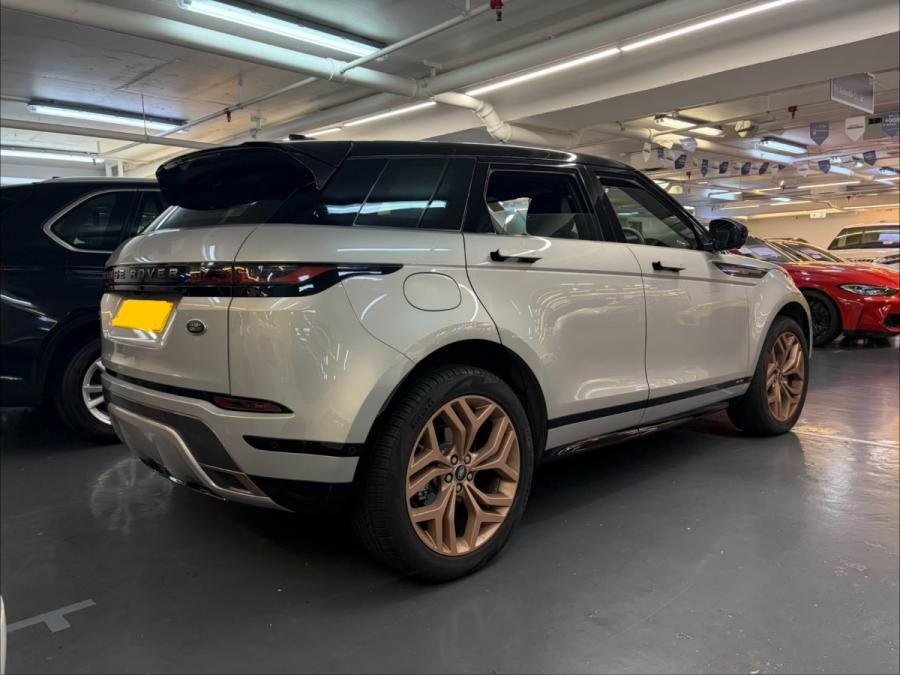 EVOQUE DYNAMIC P250 - Image 2
