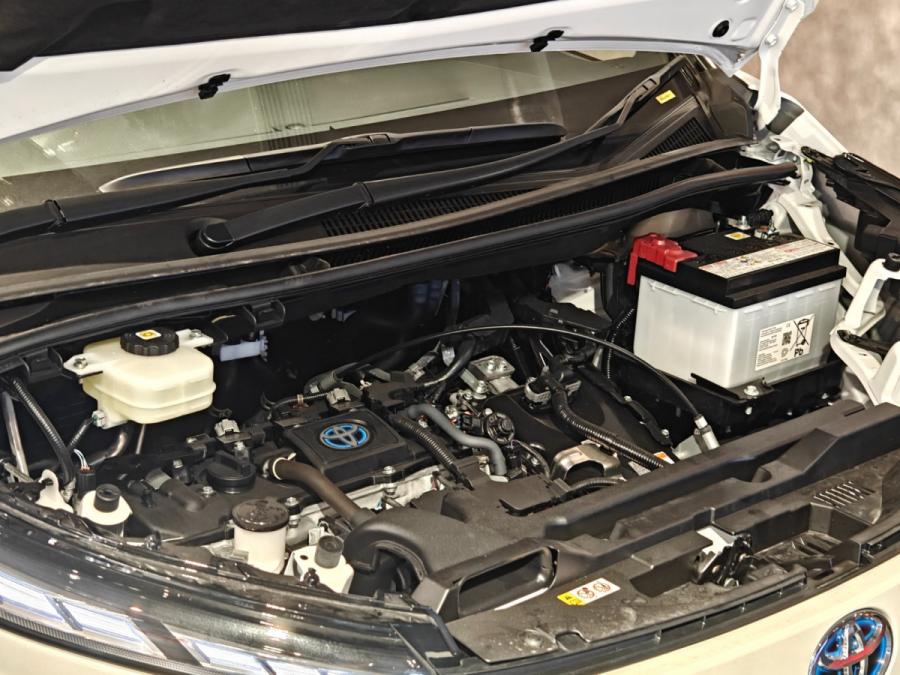 Voxy Hybrid - Image 21