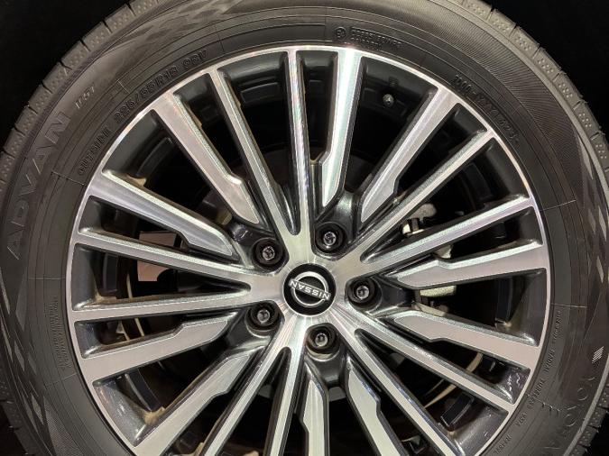 ELGRAND 250 HWS AVM - Image 11