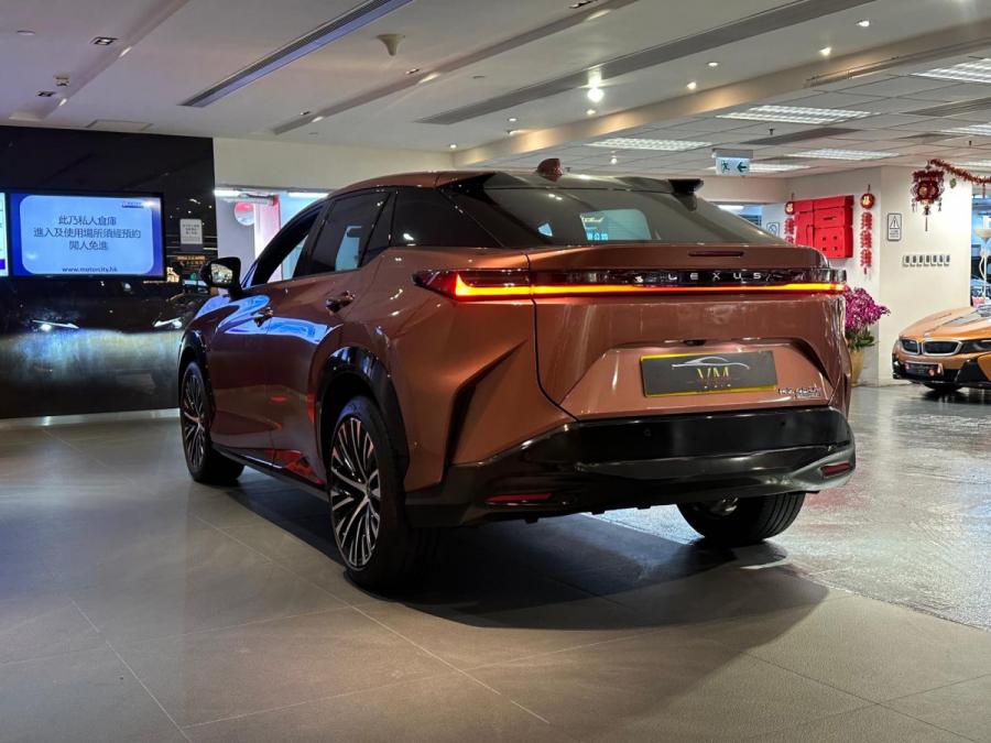 RZ450E Luxury - Image 3