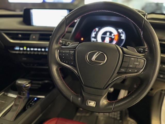 行貨 UX200 F SPORT版 2.0NA - Image 4