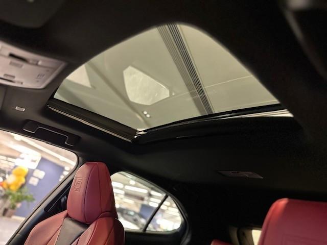 行貨 UX200 F SPORT版 2.0NA - Image 7