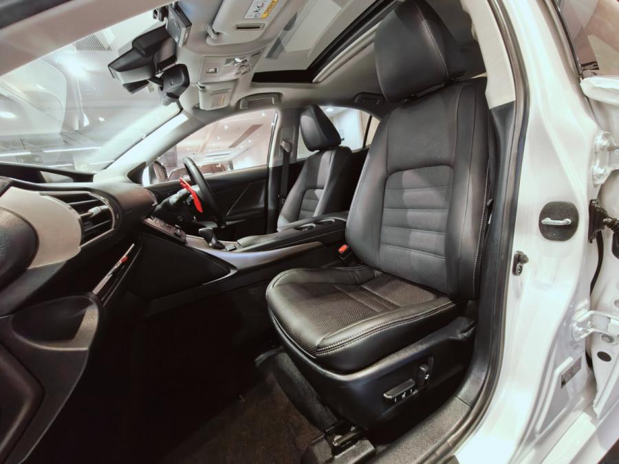 IS300H Version L - Image 10