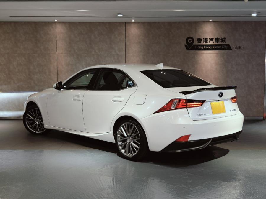 IS300H Version L - Image 14